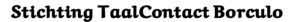 taalcontactborculo.nl